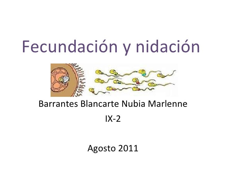 Placentacion Pdf